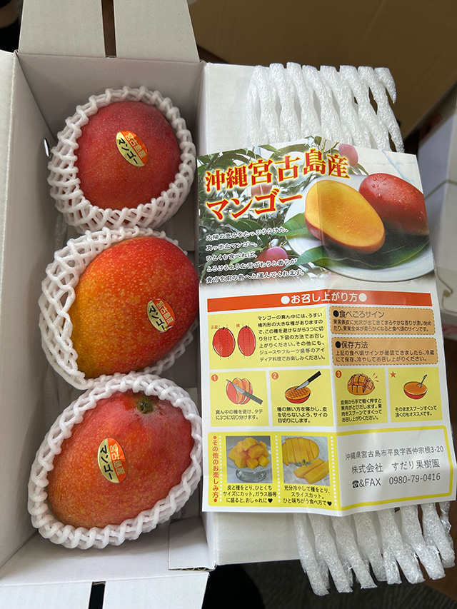 沖縄宮島産マンゴー